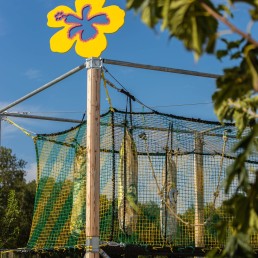 CAMPING LATOUR DE FRANCE-84 6